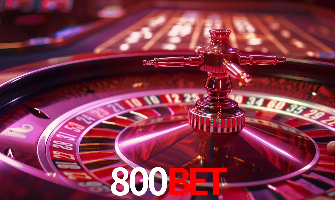 A Experiência Imersiva dos Cassinos Ao Vivo no 800BET